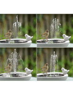Fuente de Baño de Pájaros Solar Lewisia 1.5W con Bomba USB 2