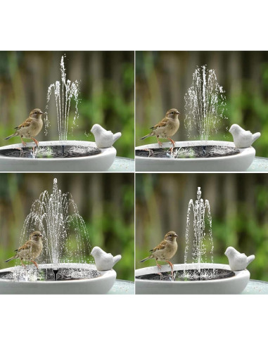 Fuente de Baño de Pájaros Solar Lewisia 1.5W con Bomba USB
