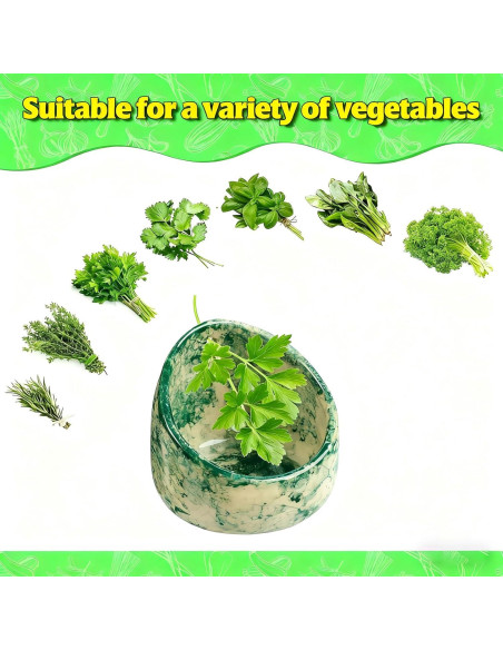 Juego de Tazones Deshojadores de Hierbas LILVEYUme - Cerámica Verde