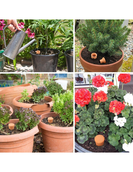 2 Globos de Riego Automático Lovely Ran 1.8L Cerámica Roja