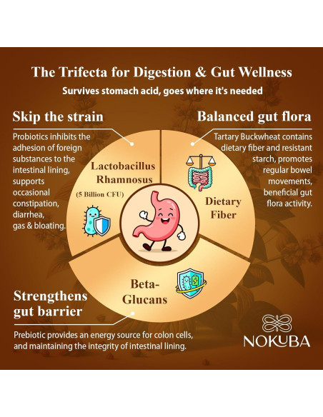 Suplemento Inmunológico Nokuba con Quercetina y Zinc - 120 Cápsulas