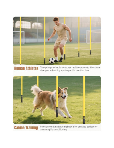 Postes de Agilidad GHB 1.83m Pack de 6 para Entrenamiento