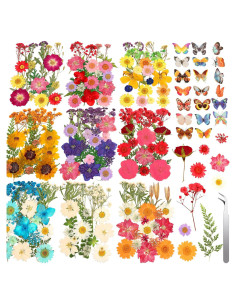 235 Piezas Flores Secas Prensadas Cruzix para Manualidades