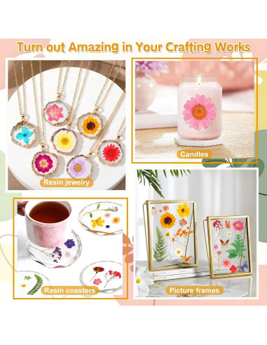 235 Piezas Flores Secas Prensadas Cruzix para Manualidades