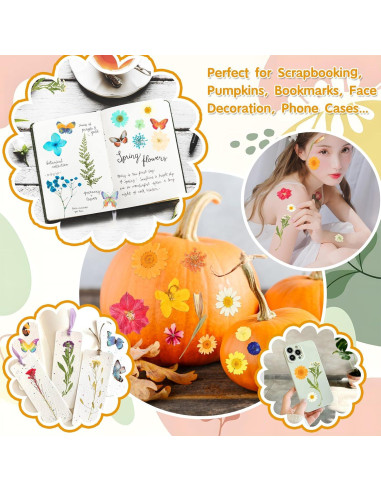 235 Piezas Flores Secas Prensadas Cruzix para Manualidades