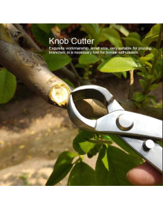 Cortador de Ramas de Bonsai Agatige 180mm Acero Inoxidable 2