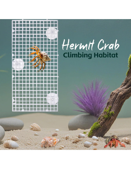 Juguete de Escalada Uotey para Cangrejo Ermitaño 21.6cm