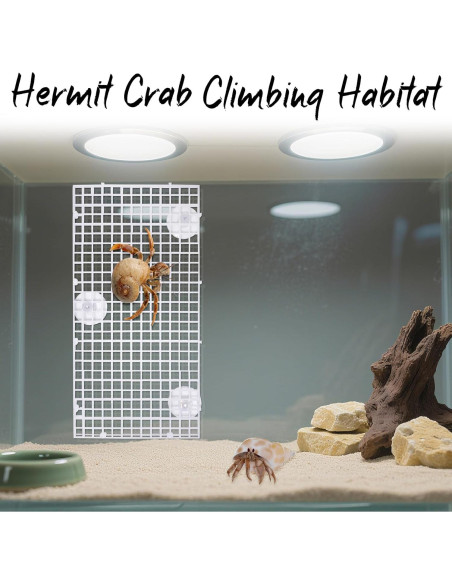 Juguete de Escalada Uotey para Cangrejo Ermitaño 21.6cm