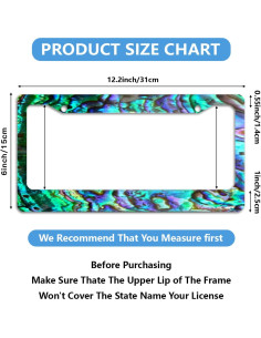 Marco de Placa de Licencia Acero Inoxidable Invincibleframe 30.99x16cm 2