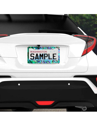 Marco de Placa de Licencia Acero Inoxidable Invincibleframe 30.99x16cm