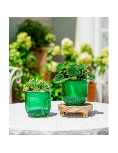 Macetas Autorriego Melphoe 10.9 cm para Plantas de Interior 2