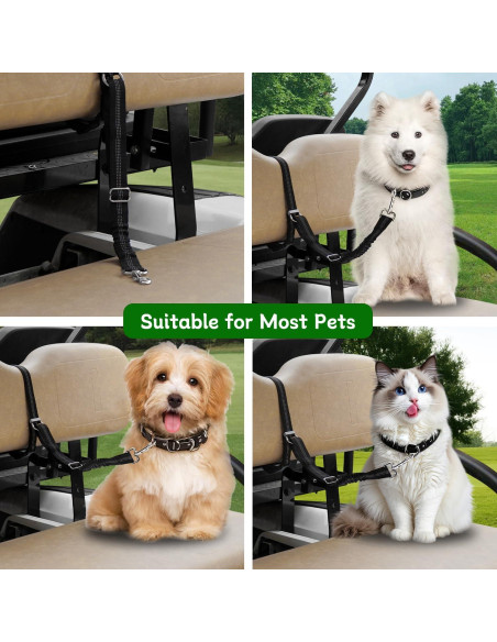 Correa de Seguridad para Perro Urgown para Carro de Golf Negra