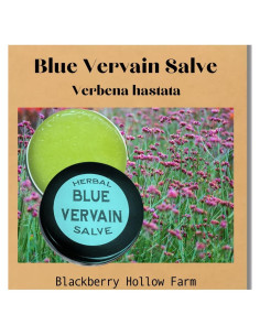 Ungüento de Vervain Azul Blackberry Hollow 28.35 g Natural