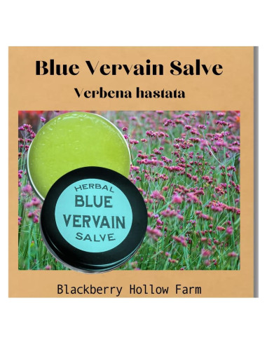 Ungüento de Vervain Azul Blackberry Hollow 28.35 g Natural