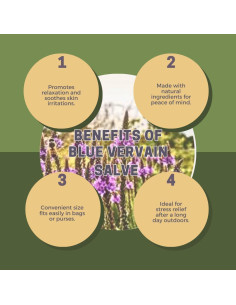 Ungüento de Vervain Azul Blackberry Hollow 28.35 g Natural 2