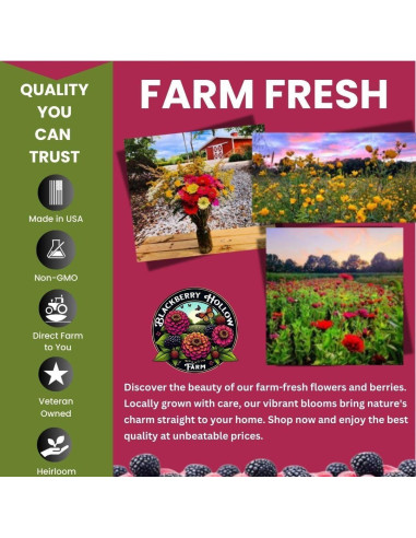 Ungüento de Vervain Azul Blackberry Hollow 28.35 g Natural