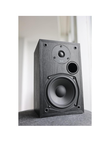 Altavoces Pasivos Audio Express Koe B102 - 100W HiFi Negro