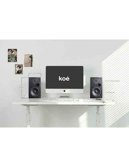 Altavoces Pasivos Audio Express Koe B102 - 100W HiFi Negro