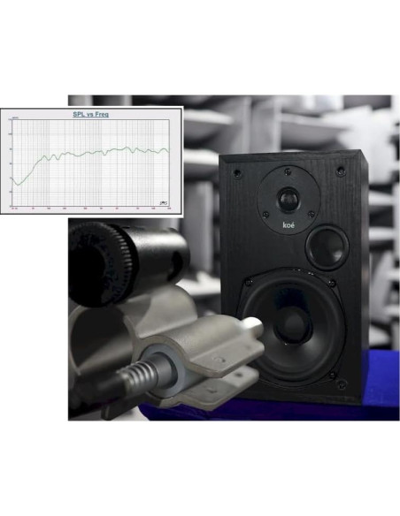 Altavoces Pasivos Audio Express Koe B102 - 100W HiFi Negro