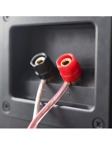 Altavoces Pasivos Audio Express Koe B102 - 100W HiFi Negro