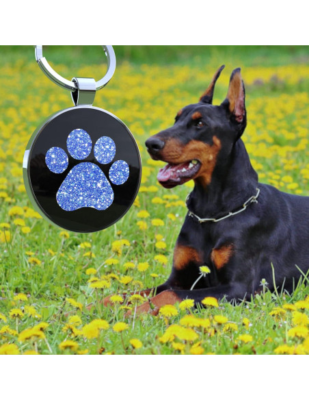 Etiqueta QR para perros KEKID personalizada 3.2 cm azul
