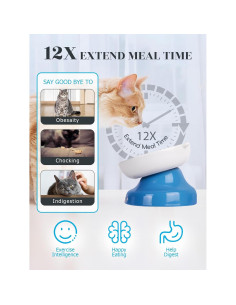 Cuenco Cerámico Elevado para Gatos Y YHY Azul 12.7cm 2