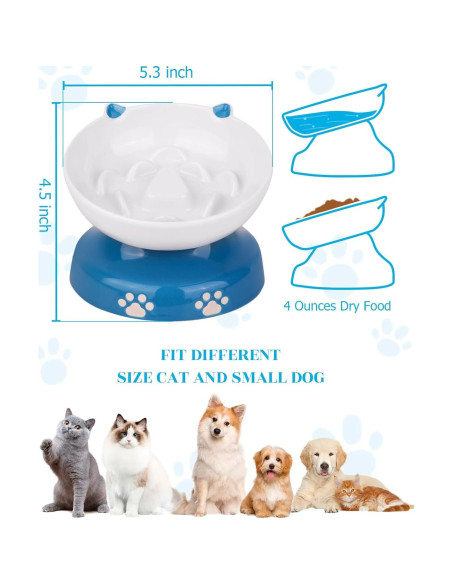 Cuenco Cerámico Elevado para Gatos Y YHY Azul 12.7cm