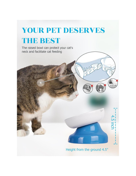 Cuenco Cerámico Elevado para Gatos Y YHY Azul 12.7cm