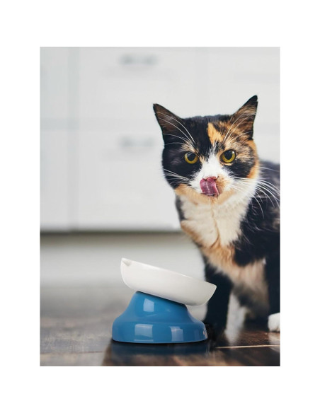 Cuenco Cerámico Elevado para Gatos Y YHY Azul 12.7cm