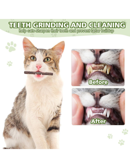 Paquete de 6 Palos de Silvervine WOUSEDO para Gatos