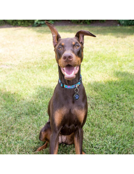 Etiqueta QR para perros KEKID personalizada 3.2 cm azul