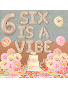 Decoración de Cumpleaños Vintage 6 Años Wonmelody con Globos 2