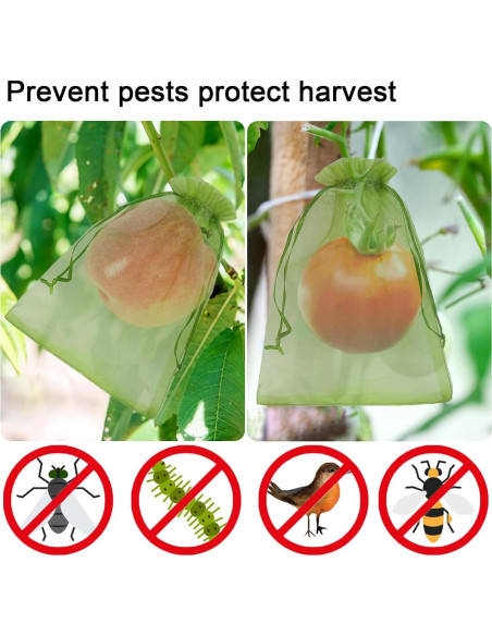 100 Bolsas de Protección de Frutas Uigidori 20x30 cm Verde