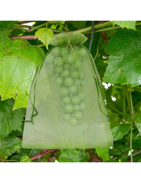 100 Bolsas de Protección de Frutas Uigidori 20x30 cm Verde