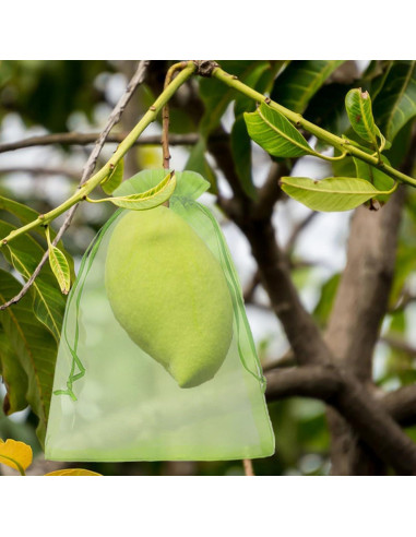 100 Bolsas de Protección de Frutas Uigidori 20x30 cm Verde
