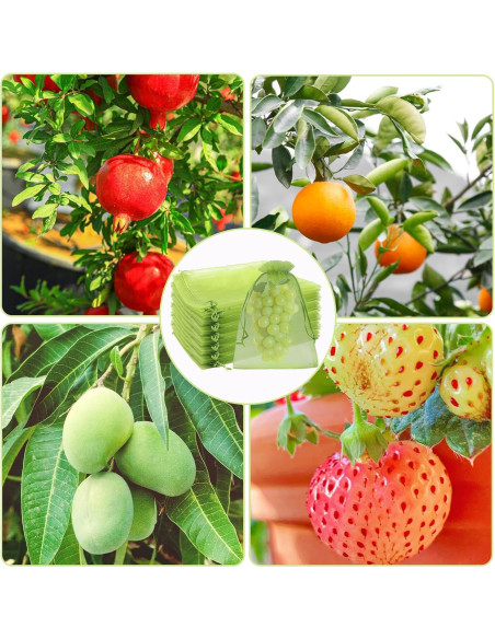 100 Bolsas de Protección de Frutas Uigidori 20x30 cm Verde
