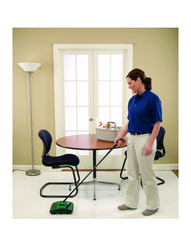 Barrendero Manual BISSELL BigGreen BG21 con Rotores de Goma 24.1 cm