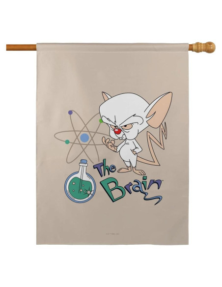 Bandera Doble Cara Pinky y El Cerebro 76x102 cm Poliester