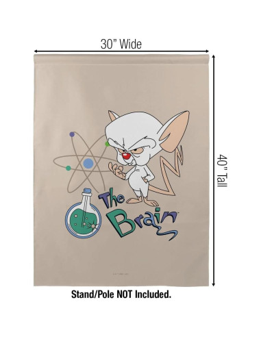 Bandera Doble Cara Pinky y El Cerebro 76x102 cm Poliester