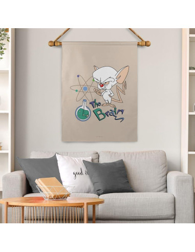 Bandera Doble Cara Pinky y El Cerebro 76x102 cm Poliester