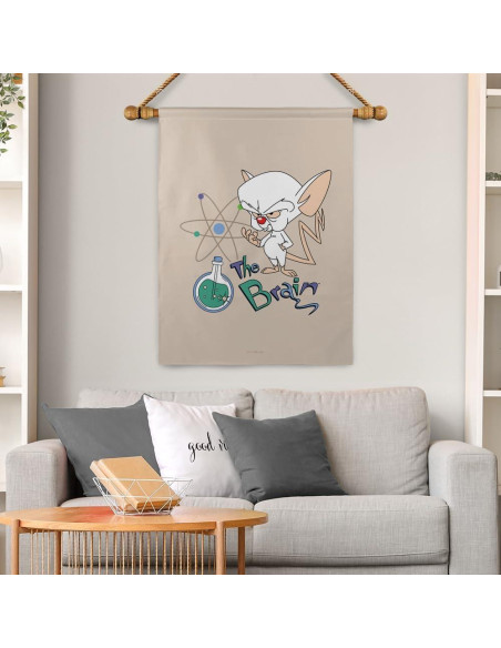Bandera Doble Cara Pinky y El Cerebro 76x102 cm Poliester