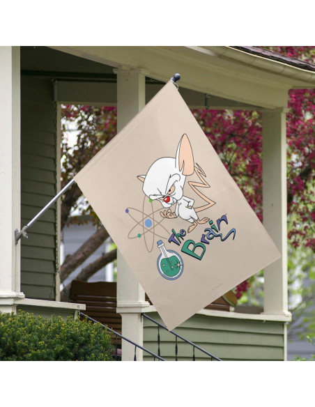 Bandera Doble Cara Pinky y El Cerebro 76x102 cm Poliester