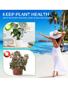 10 Esferas de Riego Automático BADAO 13x5 cm para Plantas 2