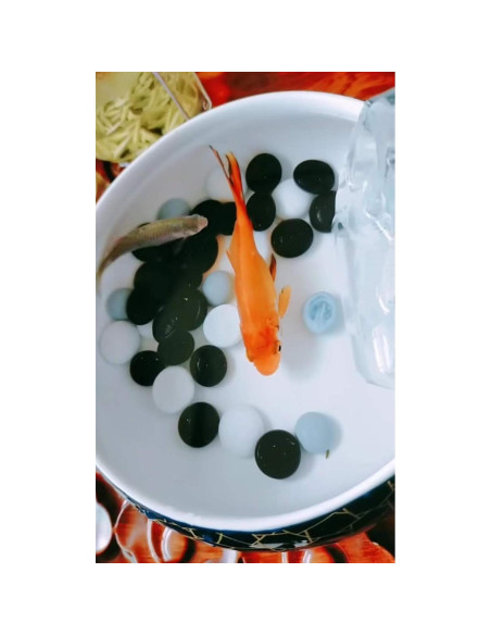 Piedras de vidrio decorativas 0,91 kg - Rojo, Blanco y Azul