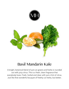 Ambientador Herbal-Cítrico Murchison-Hume 312g - Multi-Superficie 2