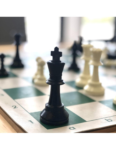 Juego de Ajedrez y Damas Portátil Ragyzity 2 en 1 34cm