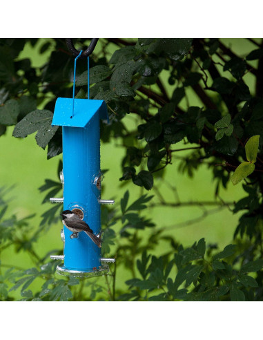 Comedero para Aves Silvestres Perky-Pet Azul 0.45 kg Metal