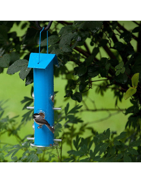 Comedero para Aves Silvestres Perky-Pet Azul 0.45 kg Metal