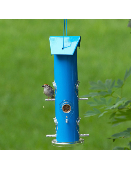 Comedero para Aves Silvestres Perky-Pet Azul 0.45 kg Metal