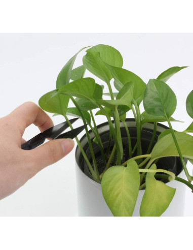 Tijeras de Coser Anley 12 Piezas 10 cm Acero Inoxidable Negro